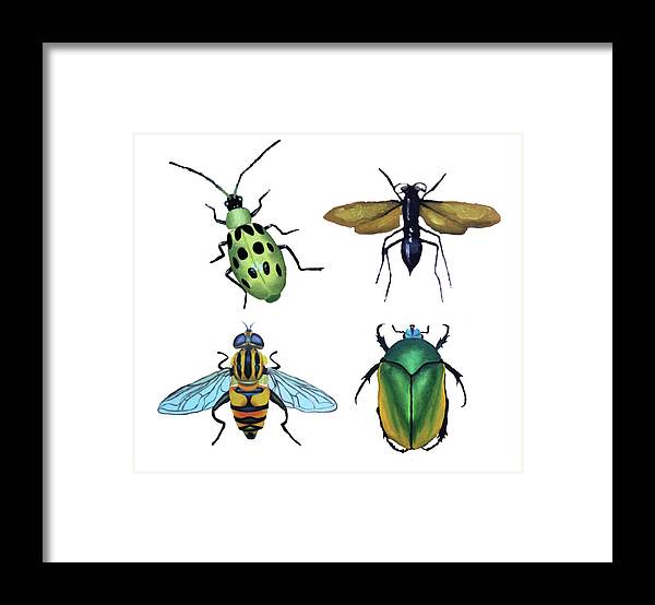 Insects - Framed Print