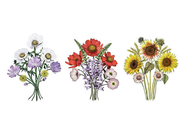 Spring Bouquets - Art Print