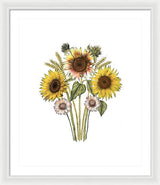 Sunflower Fields - Framed Print